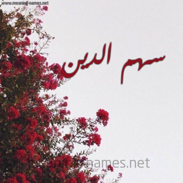 شكل 18 صوره الورد الأحمر للإسم بخط رقعة صورة اسم سهم الدين sahm-eldeen
